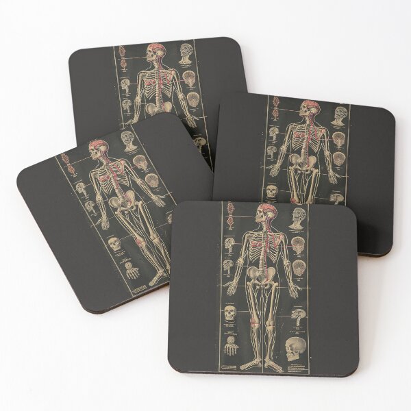 Item preview, Vintage Anatomy Art designed and sold by nomiraclehere.