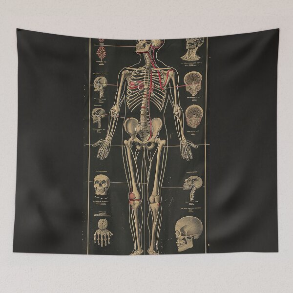 Item preview, Vintage Anatomy Art designed and sold by nomiraclehere.