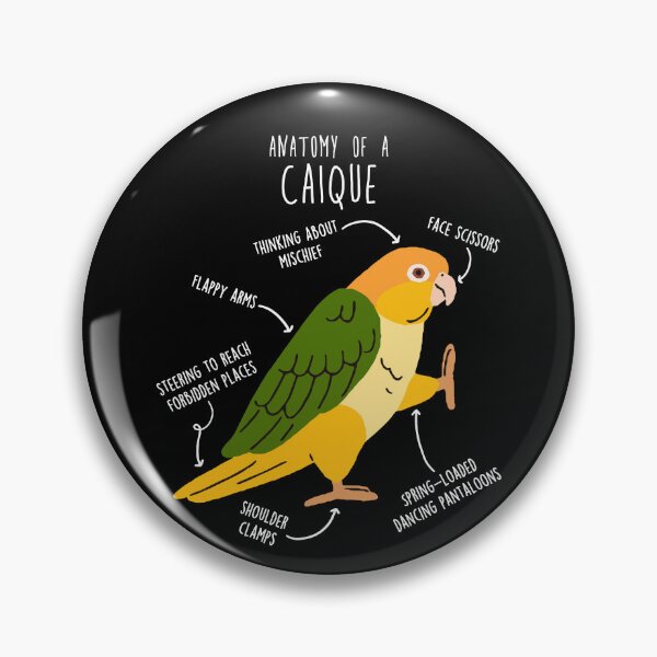 Item preview, White-bellied Caique Parrot Anatomy designed and sold by Clara Hollins.