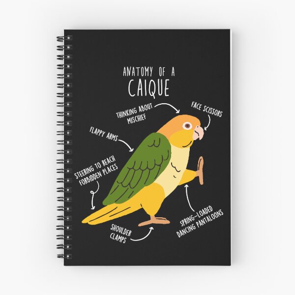 Item preview, White-bellied Caique Parrot Anatomy designed and sold by Clara Hollins.
