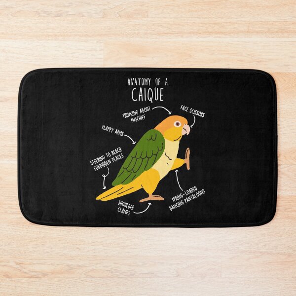 Item preview, White-bellied Caique Parrot Anatomy designed and sold by Clara Hollins.