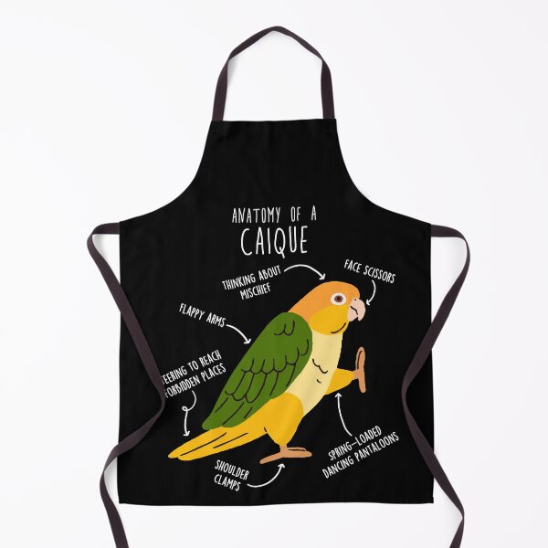 Item preview, White-bellied Caique Parrot Anatomy designed and sold by Clara Hollins.