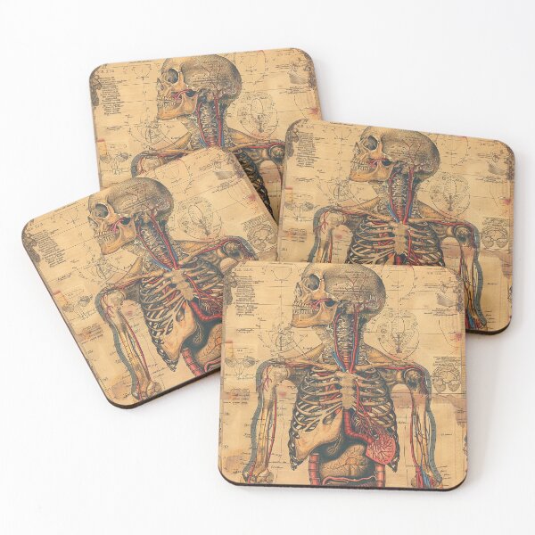 Item preview, Vintage Anatomy Art designed and sold by nomiraclehere.