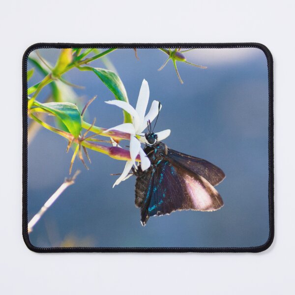 Item preview, Magrove Skipper designed and sold by SnowingRivers.