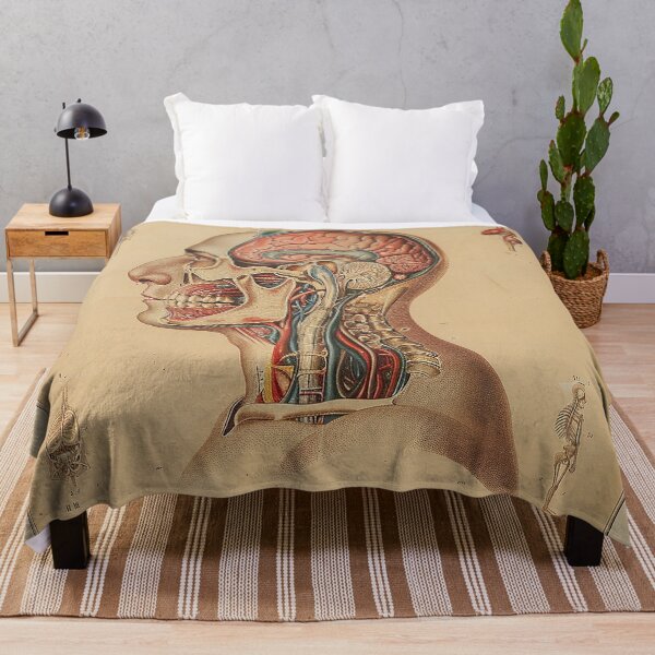 Item preview, Vintage Anatomy Art designed and sold by nomiraclehere.