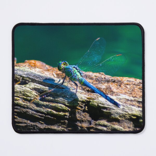 Item preview, Blue Darner designed and sold by SnowingRivers.
