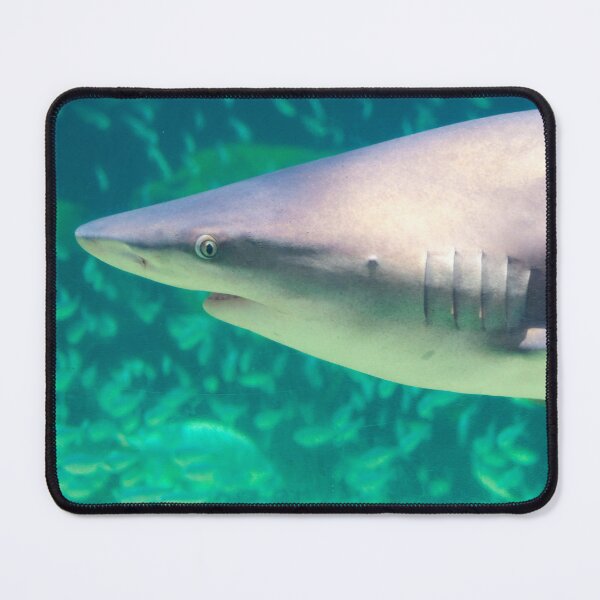 Item preview, Shark designed and sold by SnowingRivers.