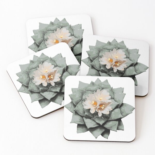 Item preview, Ariocarpus retusus var. furfuraceus cactus designed and sold by Doooriginals.