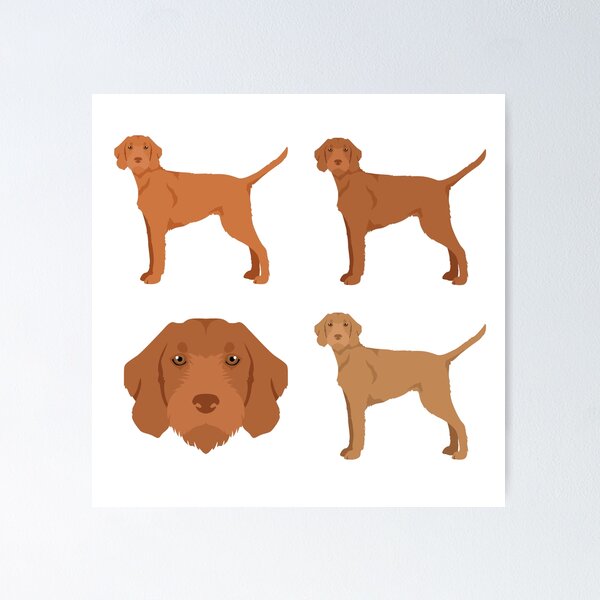 Item preview, Vizsla Wirehaired Dogs designed and sold by TheAnimalZ00.