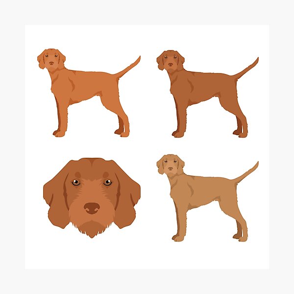 Item preview, Vizsla Wirehaired Dogs designed and sold by TheAnimalZ00.
