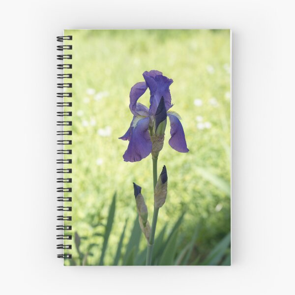 Item preview, Sun and Shade Garden with a Pretty Purple Iris designed and sold by Georgia Mizuleva.