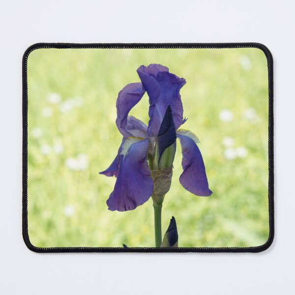 Item preview, Sun and Shade Garden with a Pretty Purple Iris designed and sold by Georgia Mizuleva.