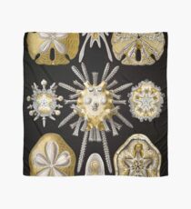 Ernest Haeckel Echinidea Fine Art Lithography Marine Scarf