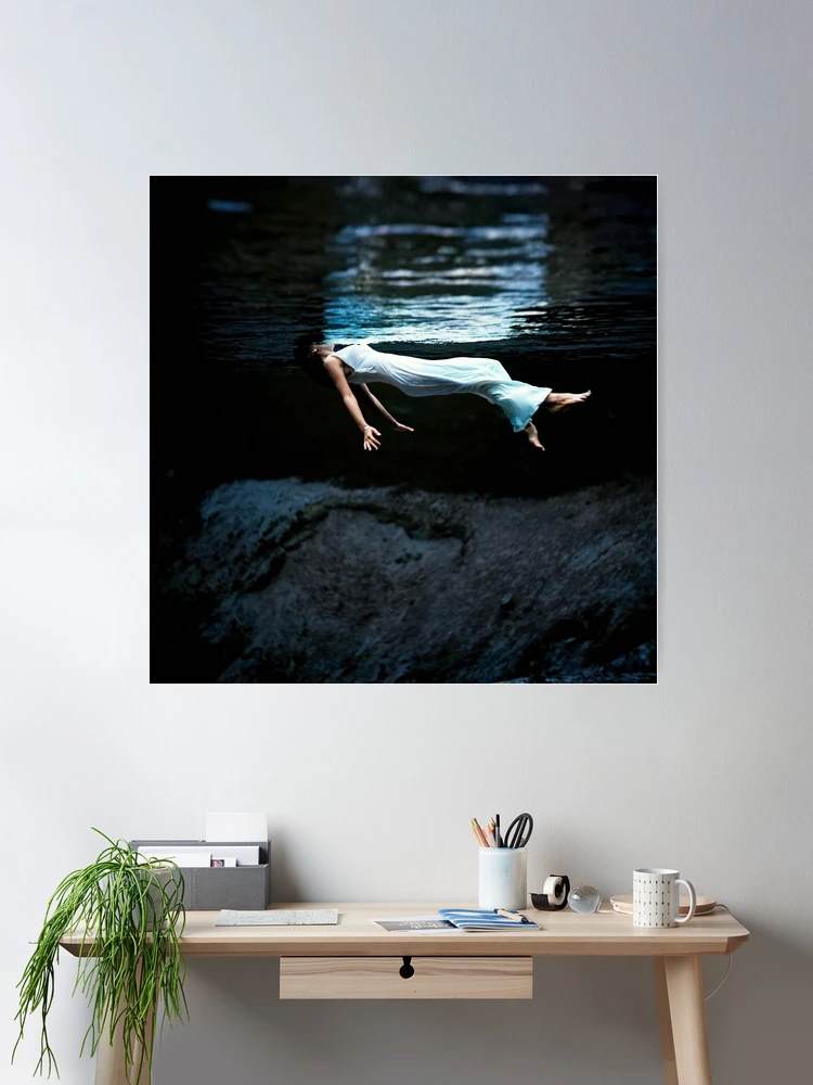 Weeki Wachee Spring/トニ フリッセル/ポスター fposter,small,wall_texture,