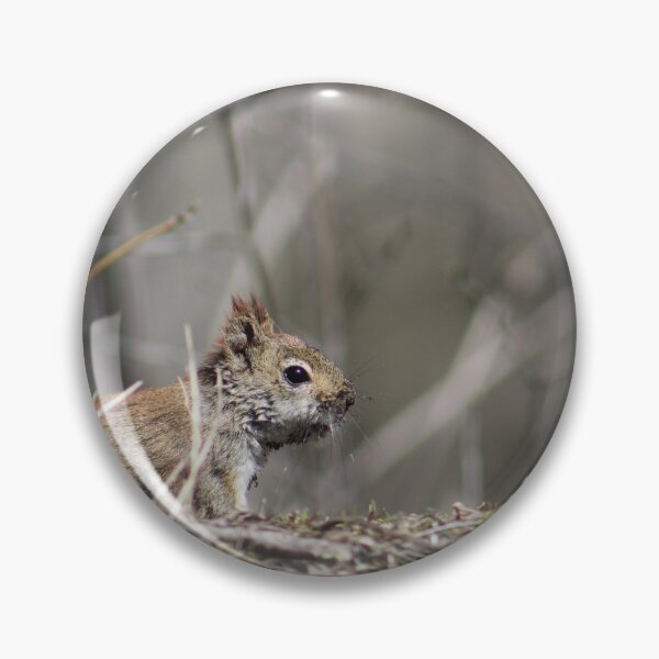Item preview, Red squirrel surrounded by twigs designed and sold by JAKreates.