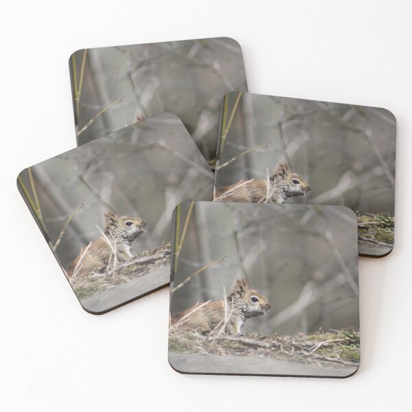 Item preview, Red squirrel surrounded by twigs designed and sold by JAKreates.