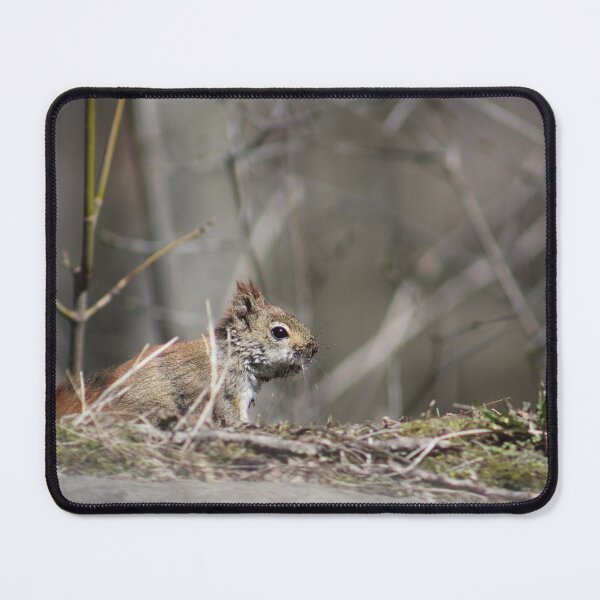 Item preview, Red squirrel surrounded by twigs designed and sold by JAKreates.