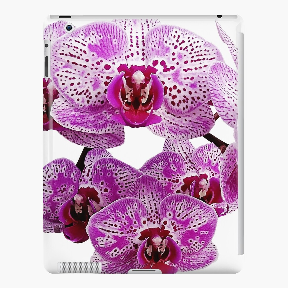 Neon Orchid I' Giclee Print - Sukhanlee