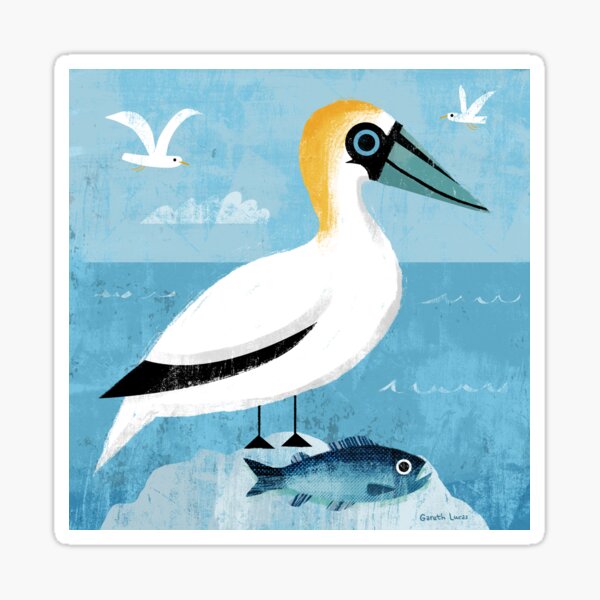 Aperçu de l'œuvre Gannet et poisson créée et vendue par gklucas.