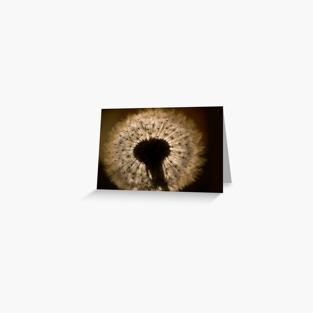 Item preview, Greeting Card designed and sold by believer9.