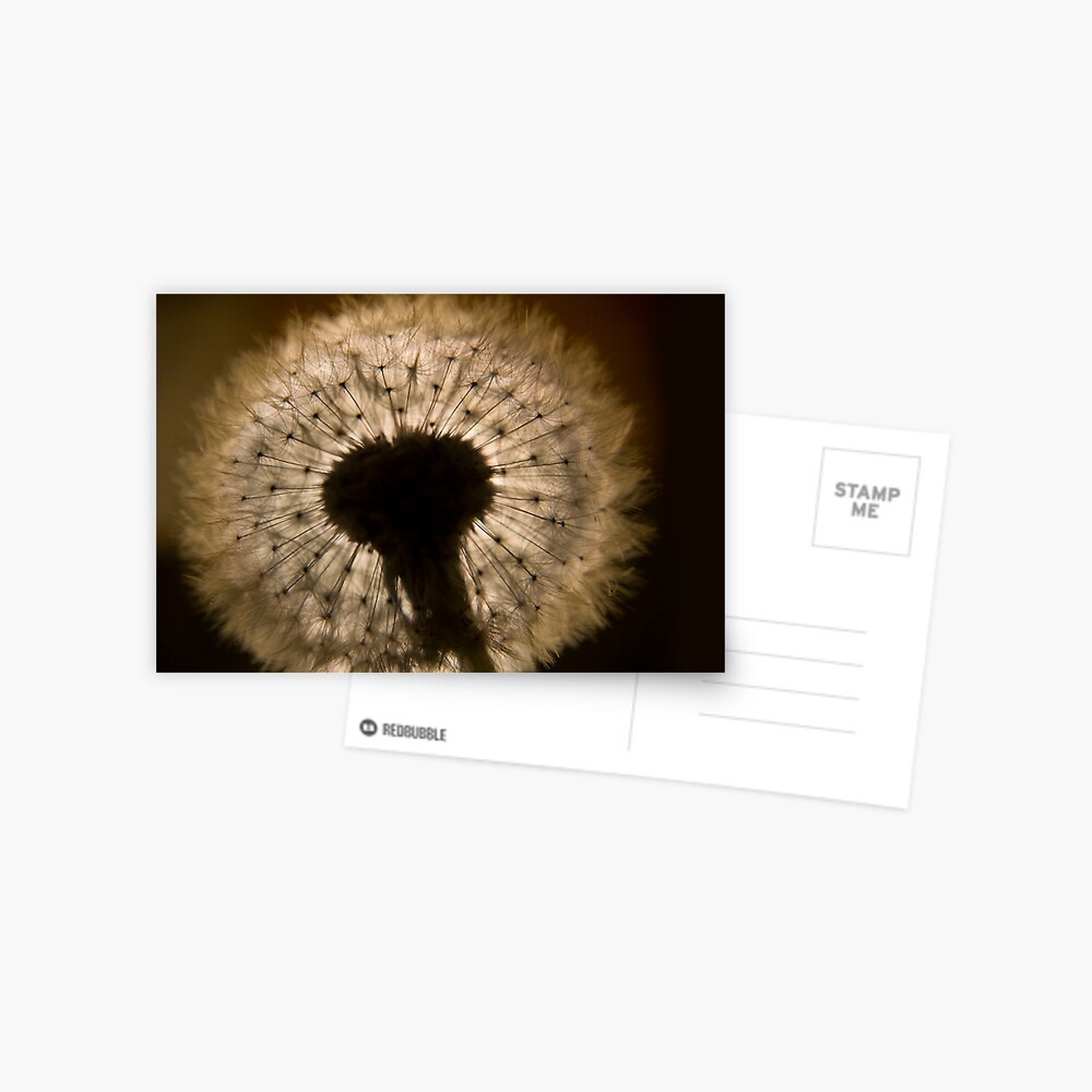 Item preview, Postcard designed and sold by believer9.