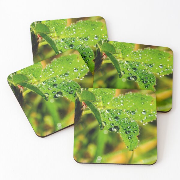 Item preview, Raindrops on a wild rose leaf designed and sold by FOLK ART FUSION by heidiannemorris.