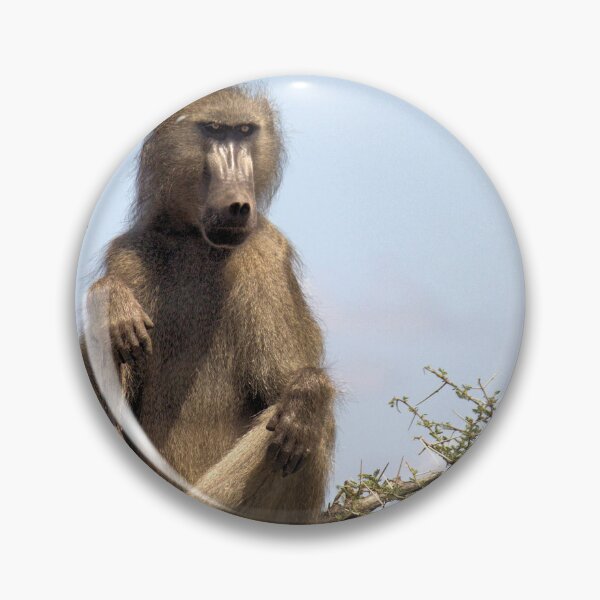 Item preview, ON GUARD - THE CHACHMA BABOON - Papio ursinus designed and sold by Magriet Meintjes.