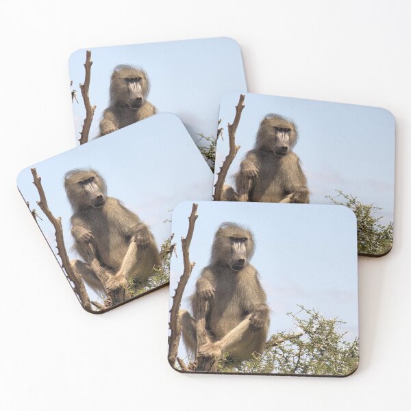 Item preview, ON GUARD - THE CHACHMA BABOON - Papio ursinus designed and sold by Magriet Meintjes.