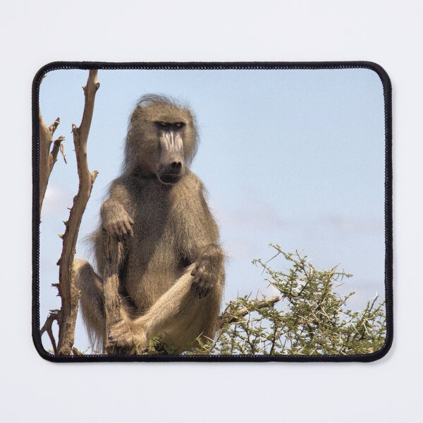 Item preview, ON GUARD - THE CHACHMA BABOON - Papio ursinus designed and sold by Magriet Meintjes.