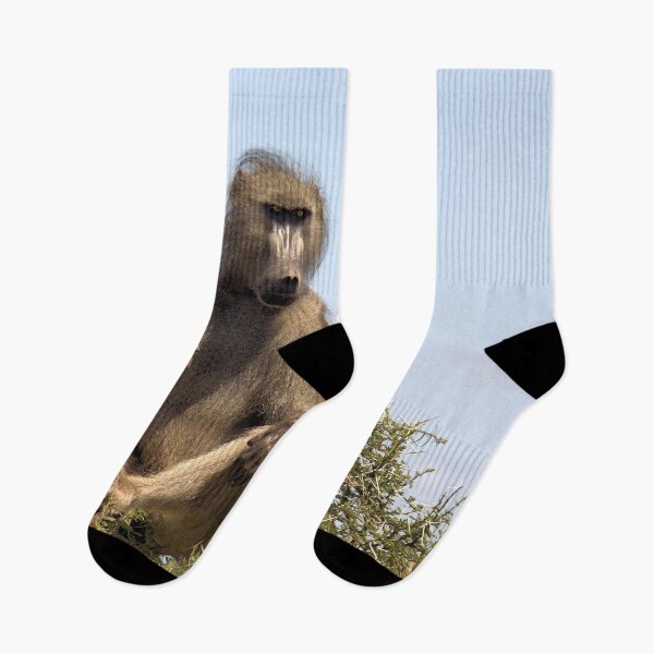 Item preview, ON GUARD - THE CHACHMA BABOON - Papio ursinus designed and sold by Magriet Meintjes.