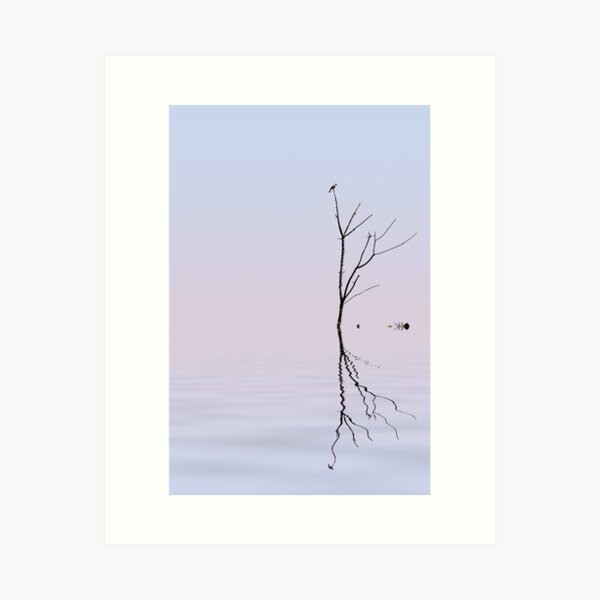 Serenity Art Print