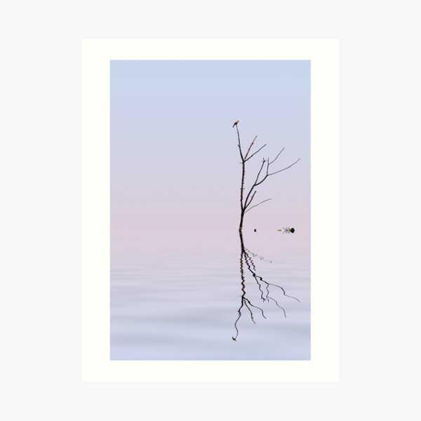 Serenity Art Print