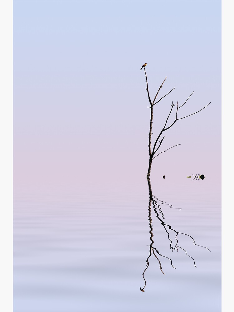 Thumbnail 3 of 3, Poster, Serenity designed and sold by believer9.
