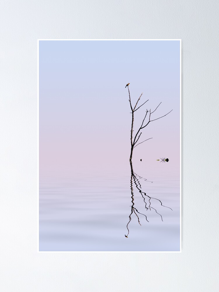 Thumbnail 1 of 3, Poster, Serenity designed and sold by believer9.