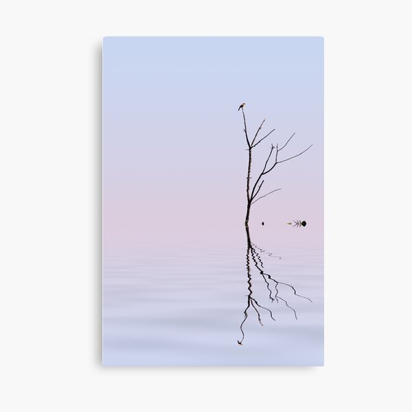 Serenity Canvas Print