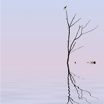 Artwork thumbnail, Serenity by believer9