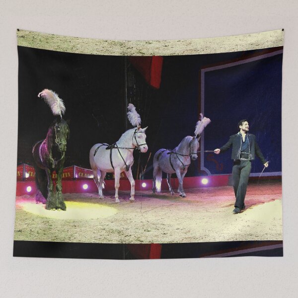 Item preview, vr 3648 / finition 2024 -  7  " le Merveilleux Cirque Claudio Zavatta et ses Chevaux " Okaio-Umin Créations Olavia-Olao designed and sold by o.okaïo.