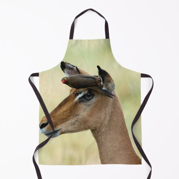 Item preview, SMILE WE ARE ON CAMERA! - BLACK-FACED IMPALA _Aepyceros melampus petersi *Swartneusrooibok* designed and sold by Magriet Meintjes.