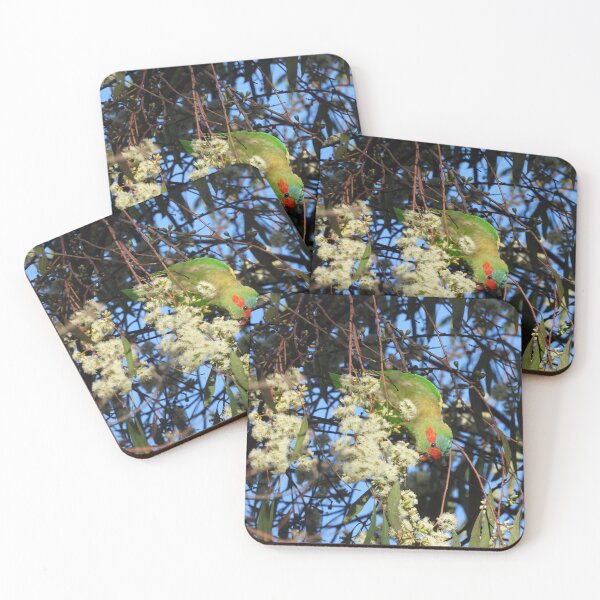 Item preview, A Musk lorikeet in the Barossa Bushgardens designed and sold by Claire L Page Photography.