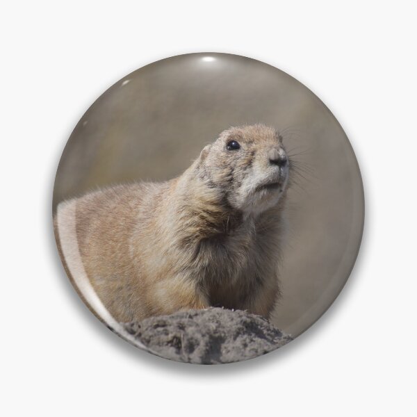 Item preview, marmot designed and sold by ChicVoyagePics.