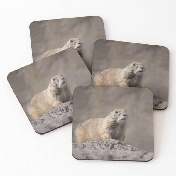 Item preview, marmot designed and sold by ChicVoyagePics.