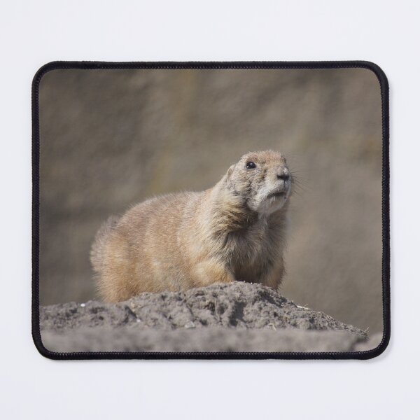 Item preview, marmot designed and sold by ChicVoyagePics.