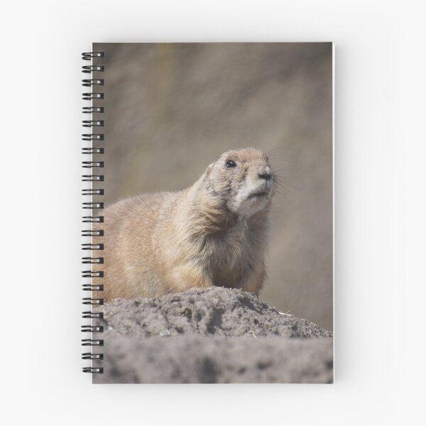 Item preview, marmot designed and sold by ChicVoyagePics.