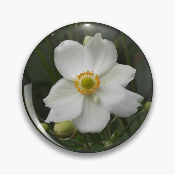 Item preview, White Japanese Anemone Flowers designed and sold by Claire L Page Photography.