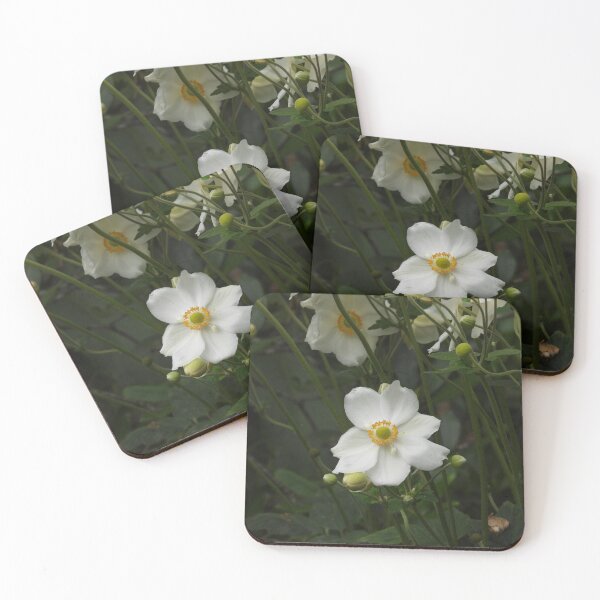 Item preview, White Japanese Anemone Flowers designed and sold by Claire L Page Photography.