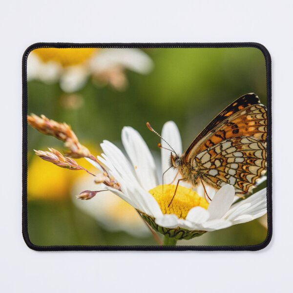 Item preview, Heath fritillary butterfly designed and sold by Koolmees.