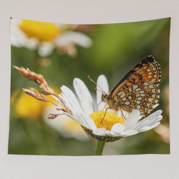 Item preview, Heath fritillary butterfly designed and sold by Koolmees.