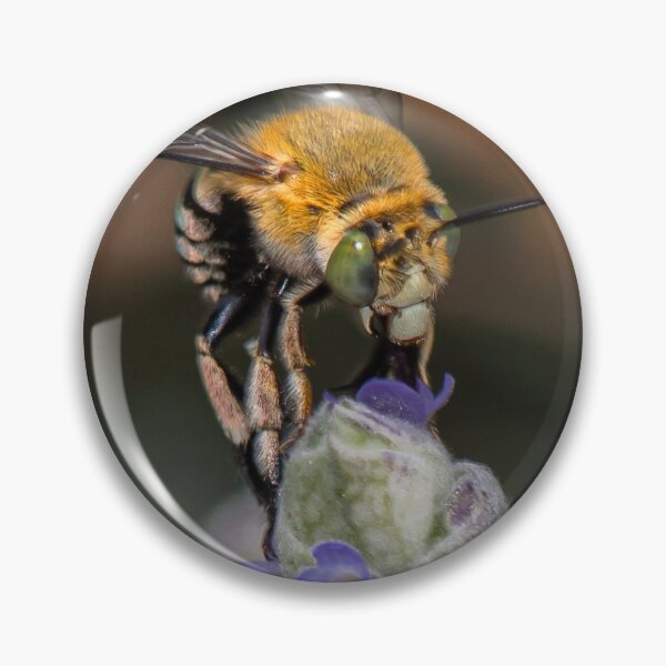 Item preview, Blue Banded Bee on Lavender designed and sold by Peter Rattigan.