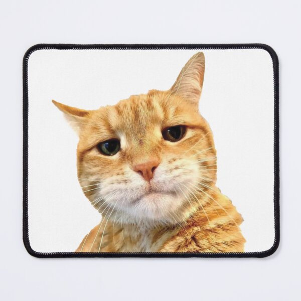 Item preview, Cute Orange Cat Selfie Orange Cat Lover designed and sold by barkandmeow.
