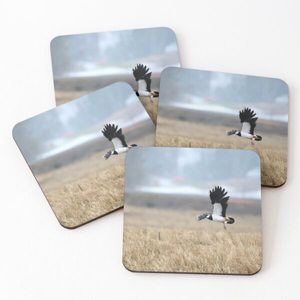 Item preview, Flap flap. Northern lapwing designed and sold by Jouko Lehto Photography.